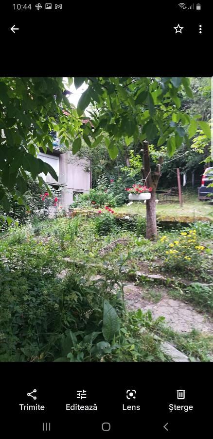 Apartament Simona Lejlighed Braşov Eksteriør billede